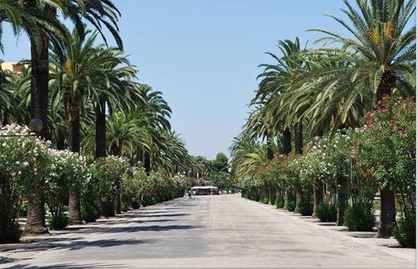 B&B La Casa Sulla Spiaggia San Benedetto del Tronto Eksteriør billede